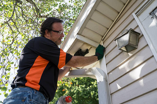 Best Brick Veneer Siding  in Du Quoin, IL